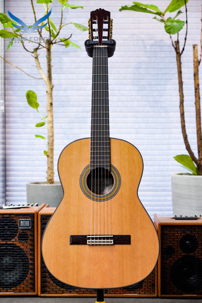 [코르도바 공식대리점/실재고보유/전화문의시 할인가능!!] Cordoba Espana Series Solista CD w/Western Cedar &amp; Indian Rosewood (신품) 나일론 클래식 기타 - 3210100