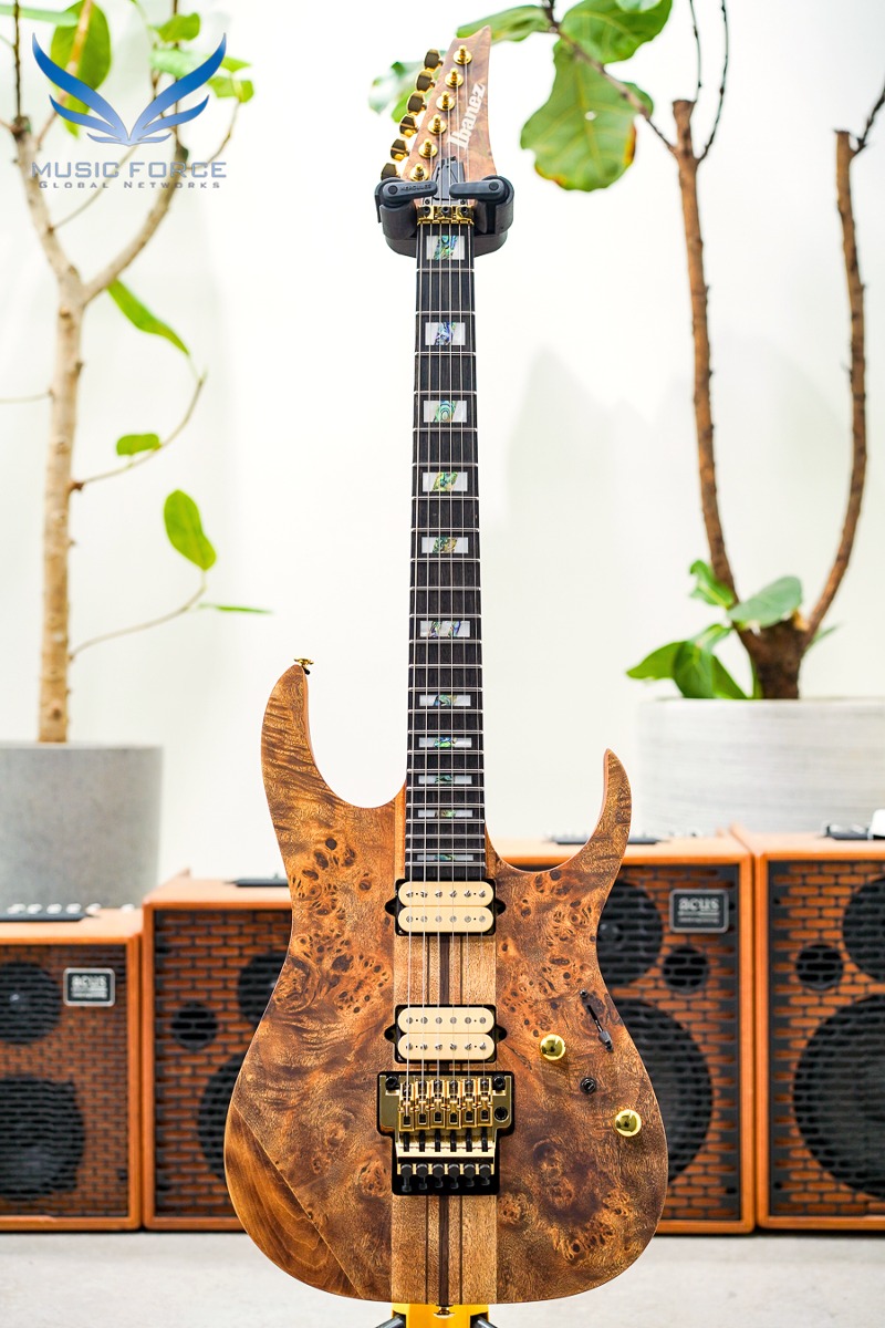 Ibanez RG Series RGT1220PB-Antique Brown Stained (Made in Indonesia/신품) - I230810724
